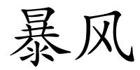 暴风的解释