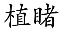 植睹的解释