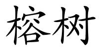 榕树的解释