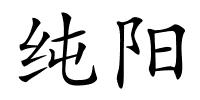 纯阳的解释