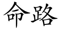 命路的解释