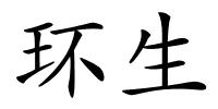 环生的解释