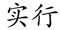 实行的解释