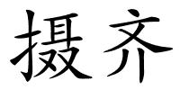 摄齐的解释