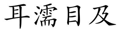 耳濡目及的解释