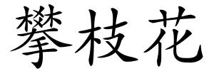 攀枝花的解释