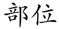 部位的解释
