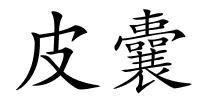皮囊的解释