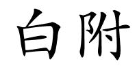 白附的解释