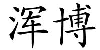 浑博的解释