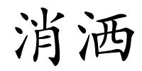 消洒的解释