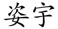 姿宇的解释