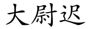 大尉迟的解释