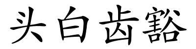 头白齿豁的解释
