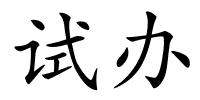 试办的解释
