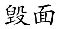 毁面的解释