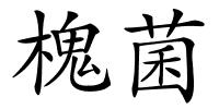 槐菌的解释