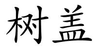 树盖的解释