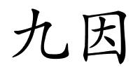 九因的解释