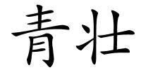 青壮的解释