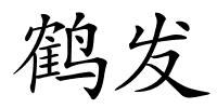 鹤发的解释