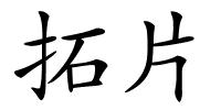拓片的解释