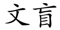 文盲的解释
