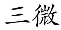 三微的解释