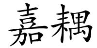 嘉耦的解释