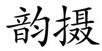 韵摄的解释