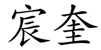 宸奎的解释