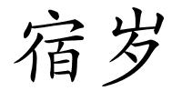宿岁的解释