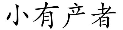 小有产者的解释