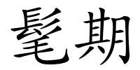 髦期的解释