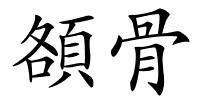頟骨的解释