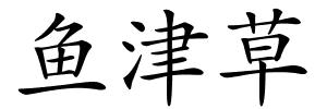 鱼津草的解释