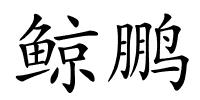 鲸鹏的解释