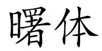 曙体的解释