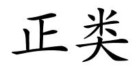 正类的解释