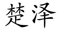 楚泽的解释