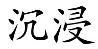 沉浸的解释