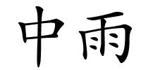中雨的解释
