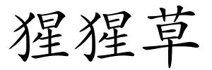猩猩草的解释