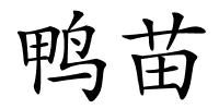 鸭苗的解释