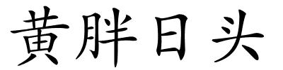 黄胖日头的解释