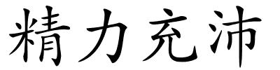 精力充沛的解释
