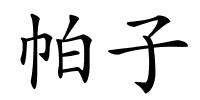 帕子的解释
