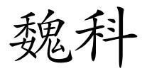 魏科的解释