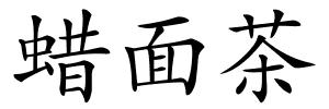 蜡面茶的解释