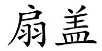 扇盖的解释